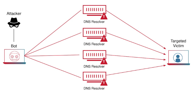 DDoS Attacks Explained