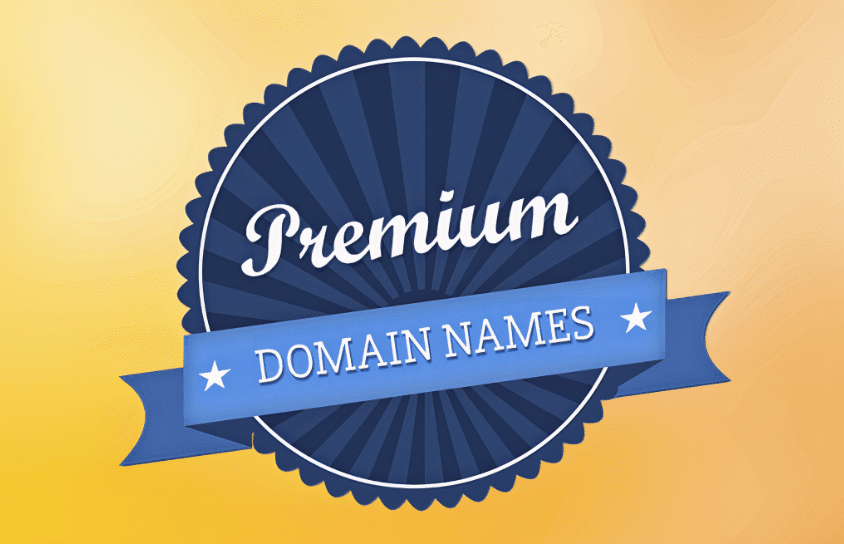 Premium Domain Investment for Your Website